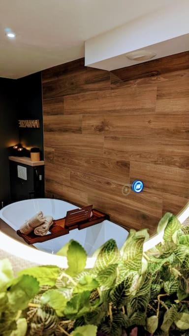 Le Petit Bali Apartman Sélestat Kültér fotó