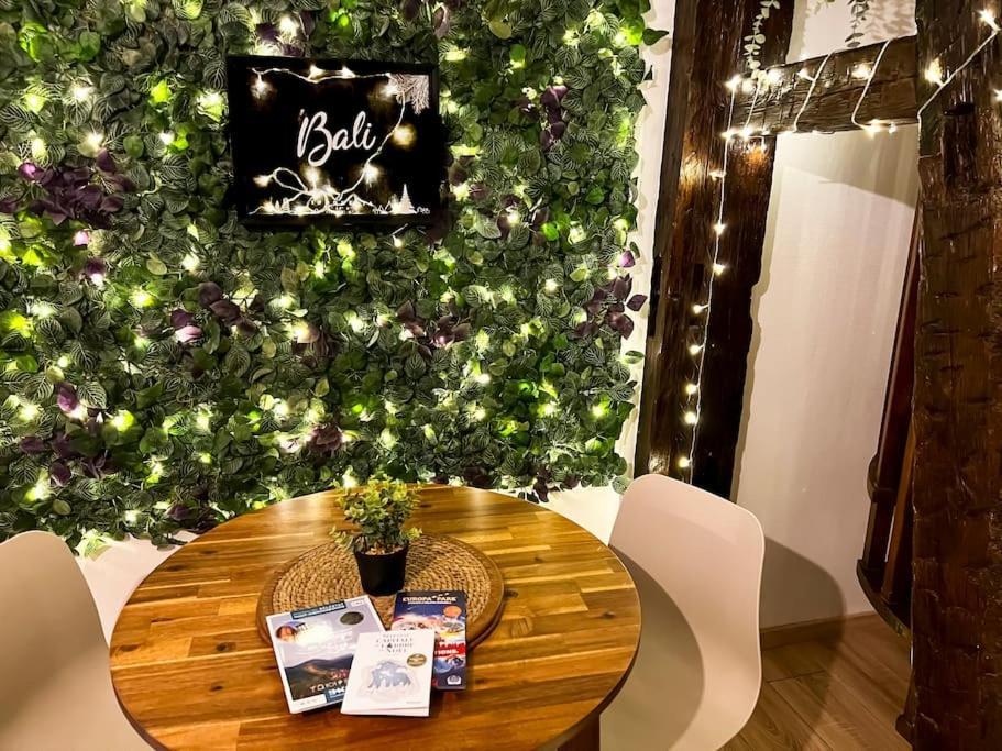 Le Petit Bali Apartman Sélestat Kültér fotó